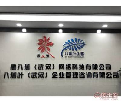 八蕉葉 武漢稅務(wù)代理的專業(yè)伙伴，助力企業(yè)穩(wěn)健成長